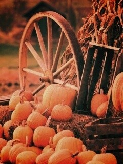 Урожай обои