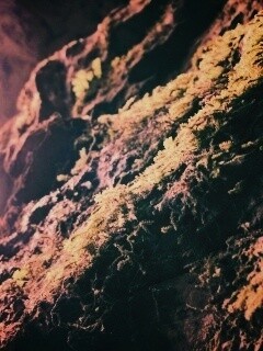 Мшистый камень обои