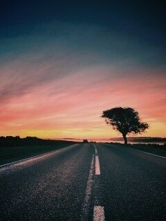 Дорога обои