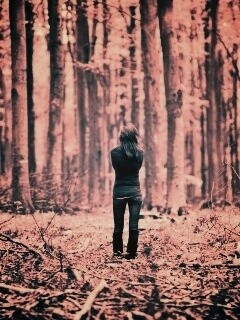 Одна в лесу обои
