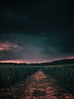 Поле ночью обои