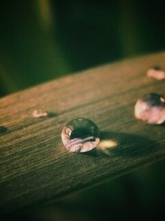 Капли росы на листе обои