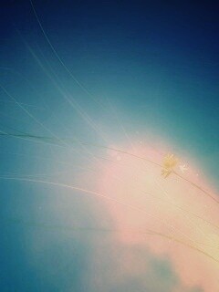 Оригинальные обои Windows 7 обои