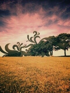 На равнине обои