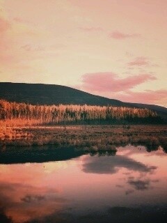 Осеннее озеро обои