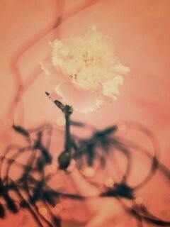 Электронный цветок обои