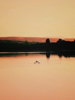 Утиное озеро обои