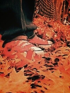 Оранжевые кеды обои