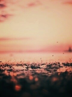 Дождь в макро обои