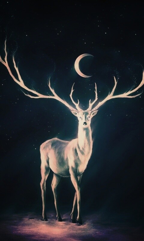 Олень в лунном свете обои