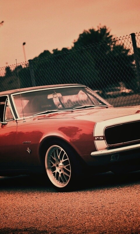 Красный монстор обои