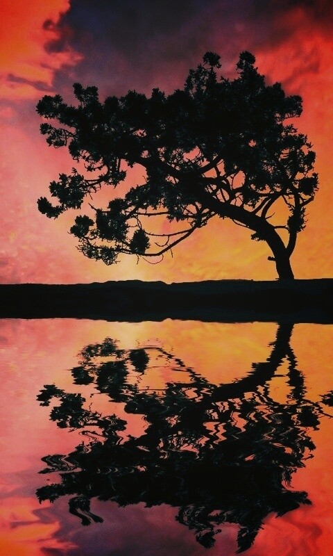 Зеркальное озеро обои