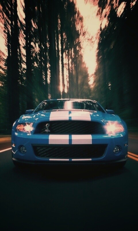 Форд Шелби обои