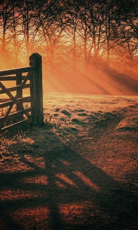 Открытые ворота обои