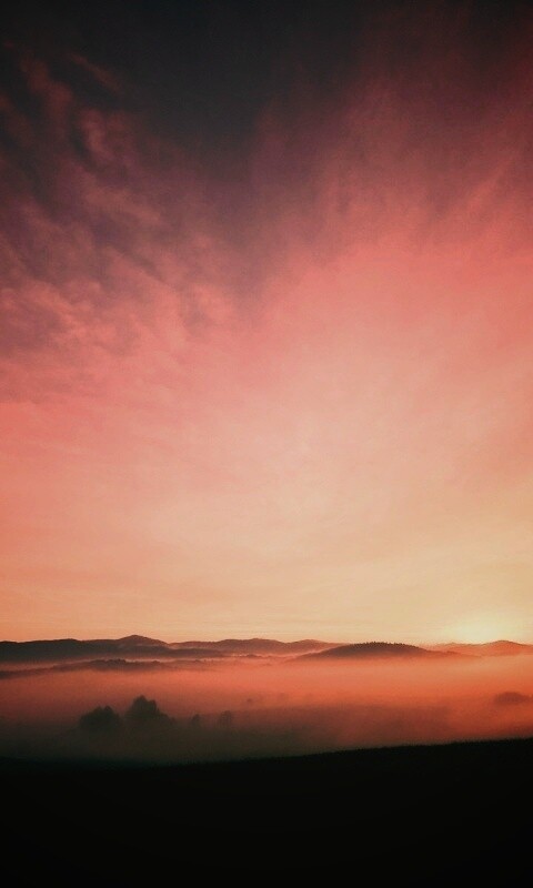 Утренний туман обои