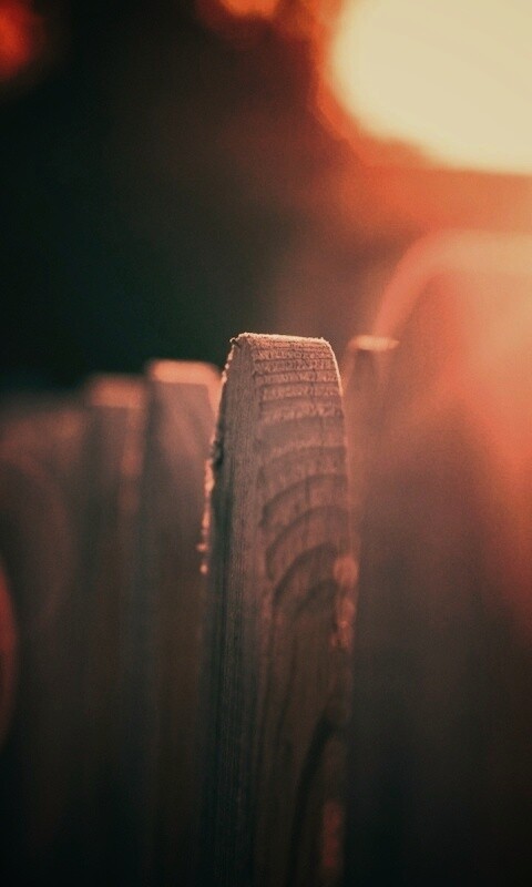 Деревянный забо обои