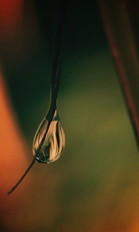 Стекающая капля обои