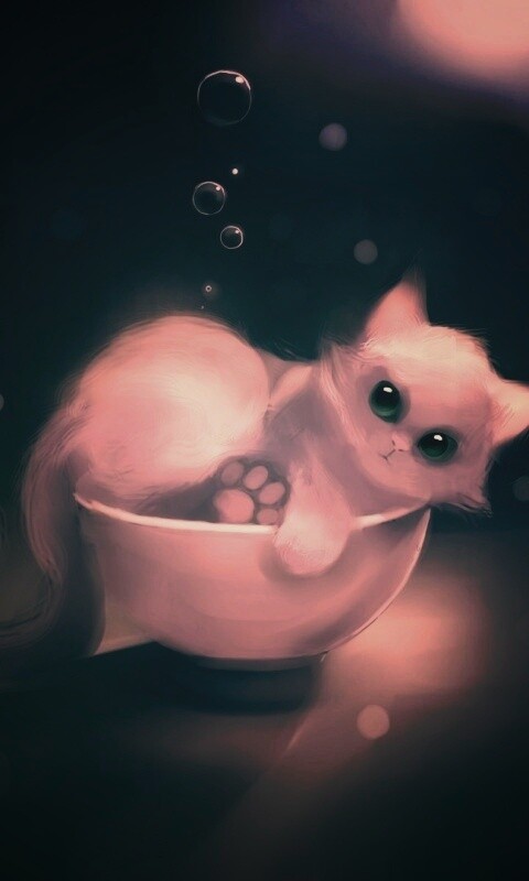 Котёнок в миске обои