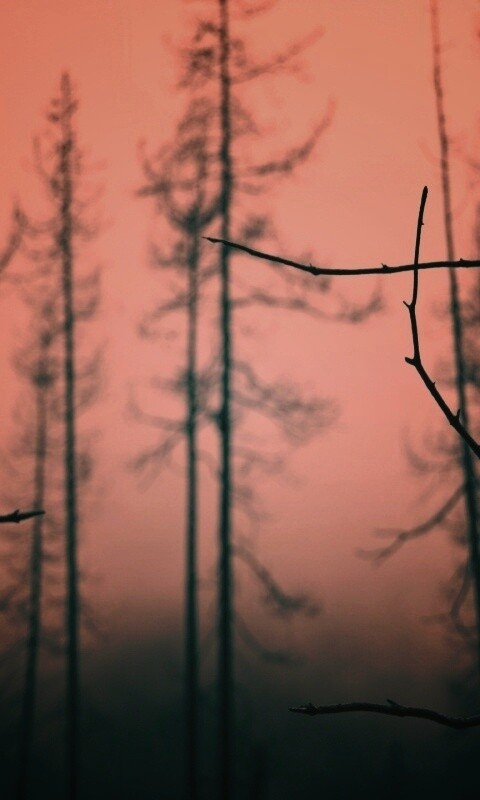 Безысходность обои