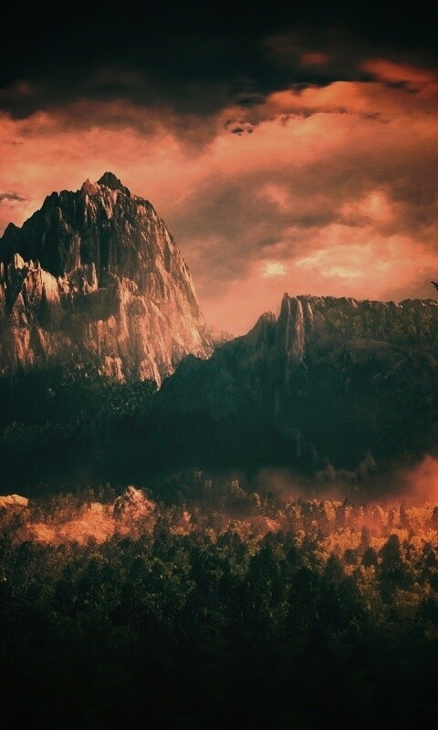 Горы посреди джунглей обои