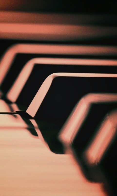 Клавиши  рояля обои