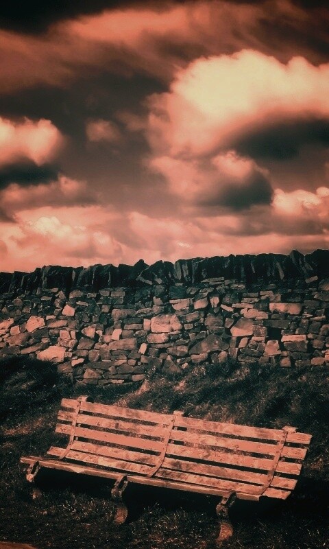 Скамейка у дороги обои