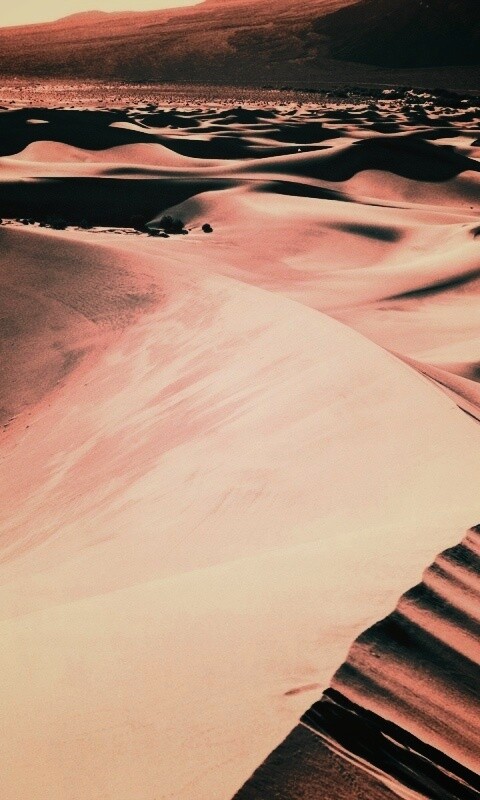 Барханы обои