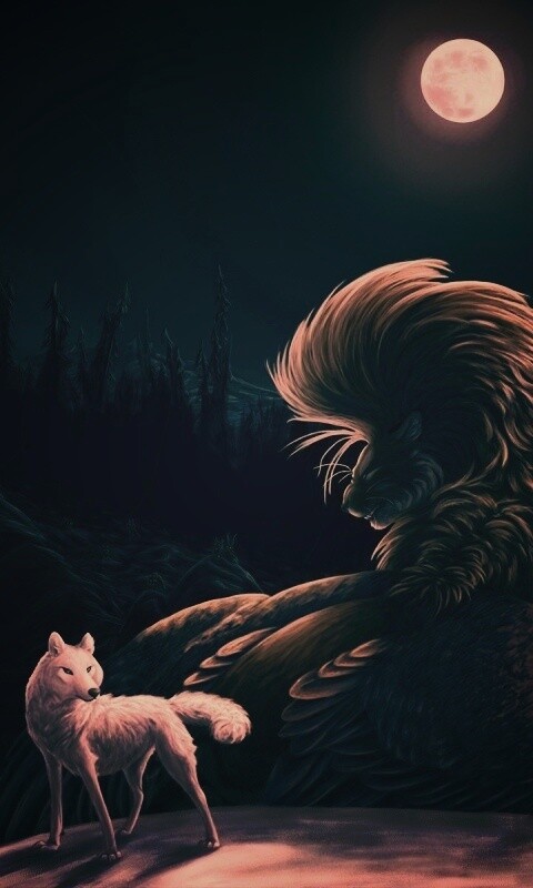 Волк и лев при луне обои