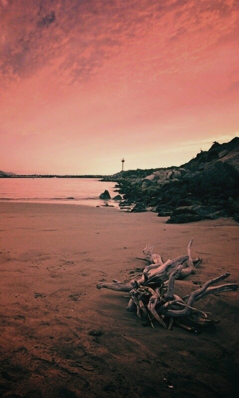 Коряга не берегу обои