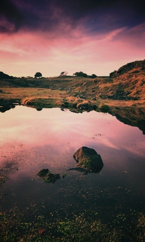 Затопленная долина в Новой Зеландии обои