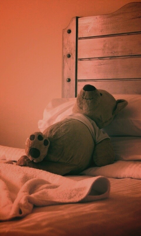 Медвежонок в постели обои