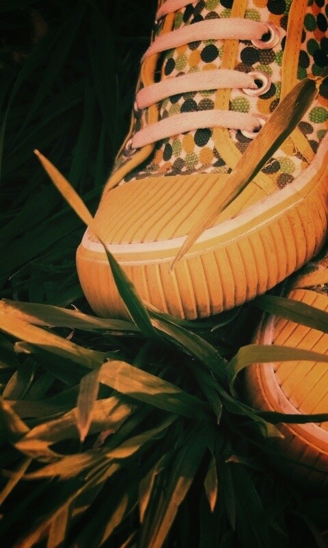 Желтые кеды в горошек обои