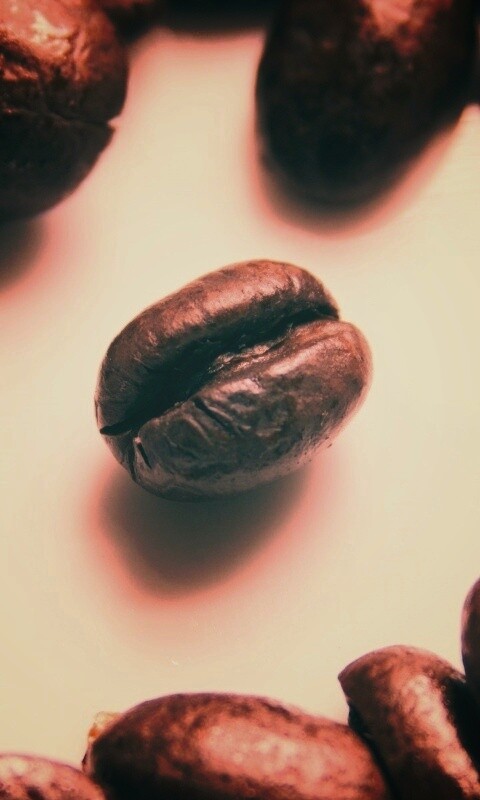 Кофейные бобы обои