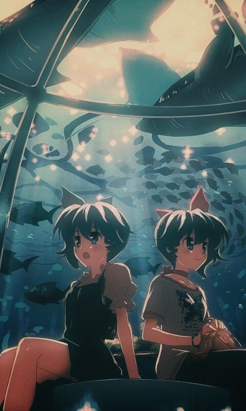 В океанариуме обои