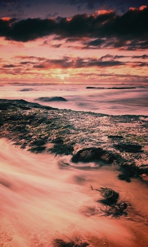 Туманный мыс обои