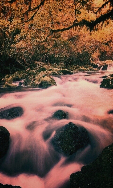 Лесной руче обои