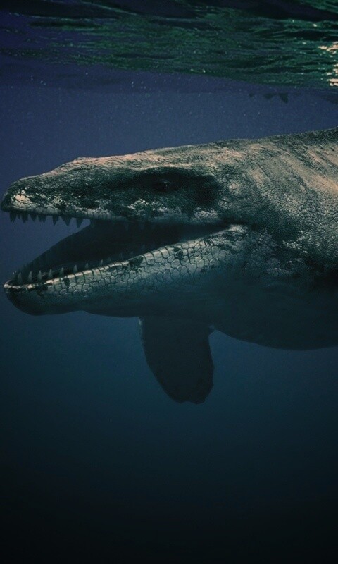 Морской динозавр обои