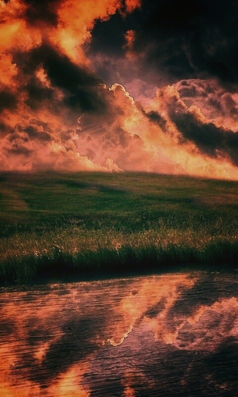 Тучи над лугом обои