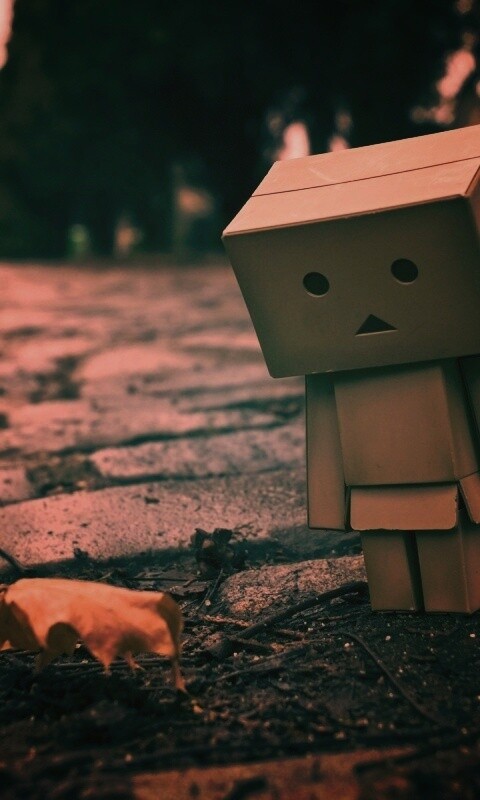 Danbo и первый осенний лист обои
