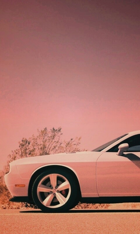 Стартующий Форд Мустанг обои