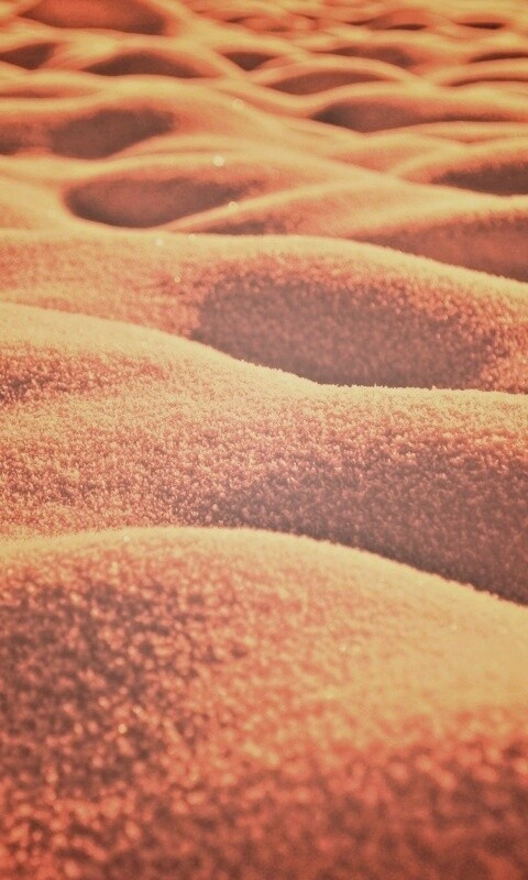 Песчаные бугры обои
