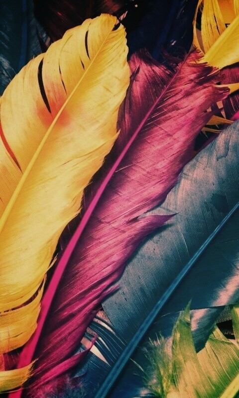 Разноцветные перья обои