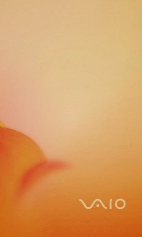 Цветок и логотип Vaio обои