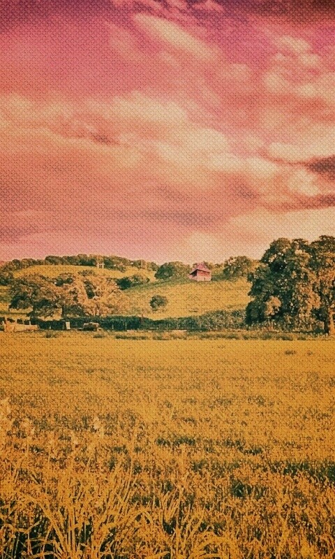 Домик на холмах обои