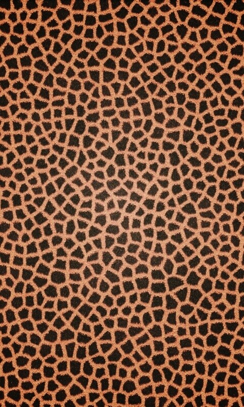 Текстура шкуры жирафа обои