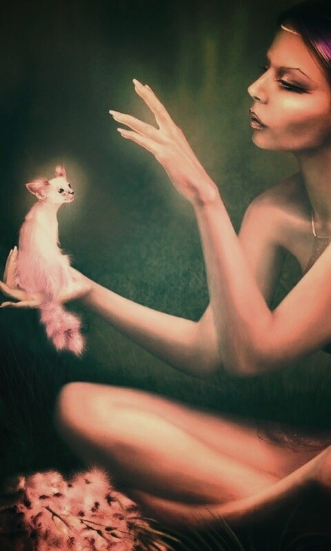 Почет и процветание обои