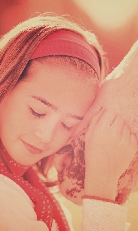 Девочка и лошадь обои