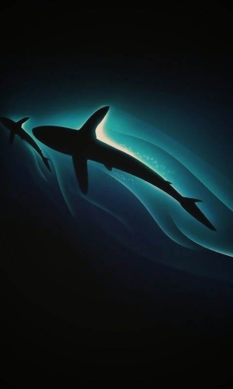 Рыбы в глубине обои