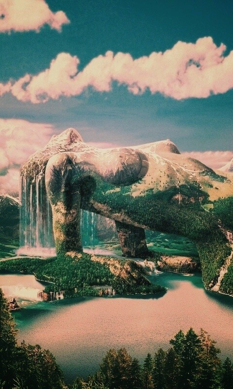 Природа обои