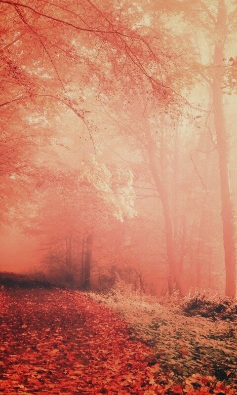 Осенний мистический пейзаж обои